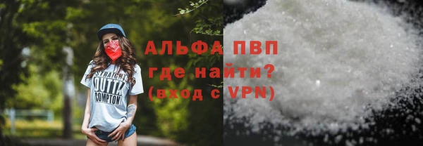 спиды Пересвет