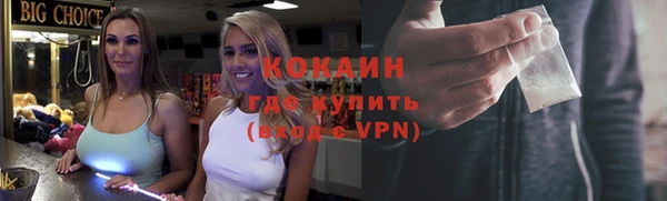 спиды Пересвет