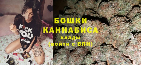 спиды Пересвет